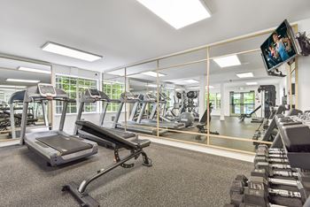 A gym with treadmills, weights, and exercise equipment.